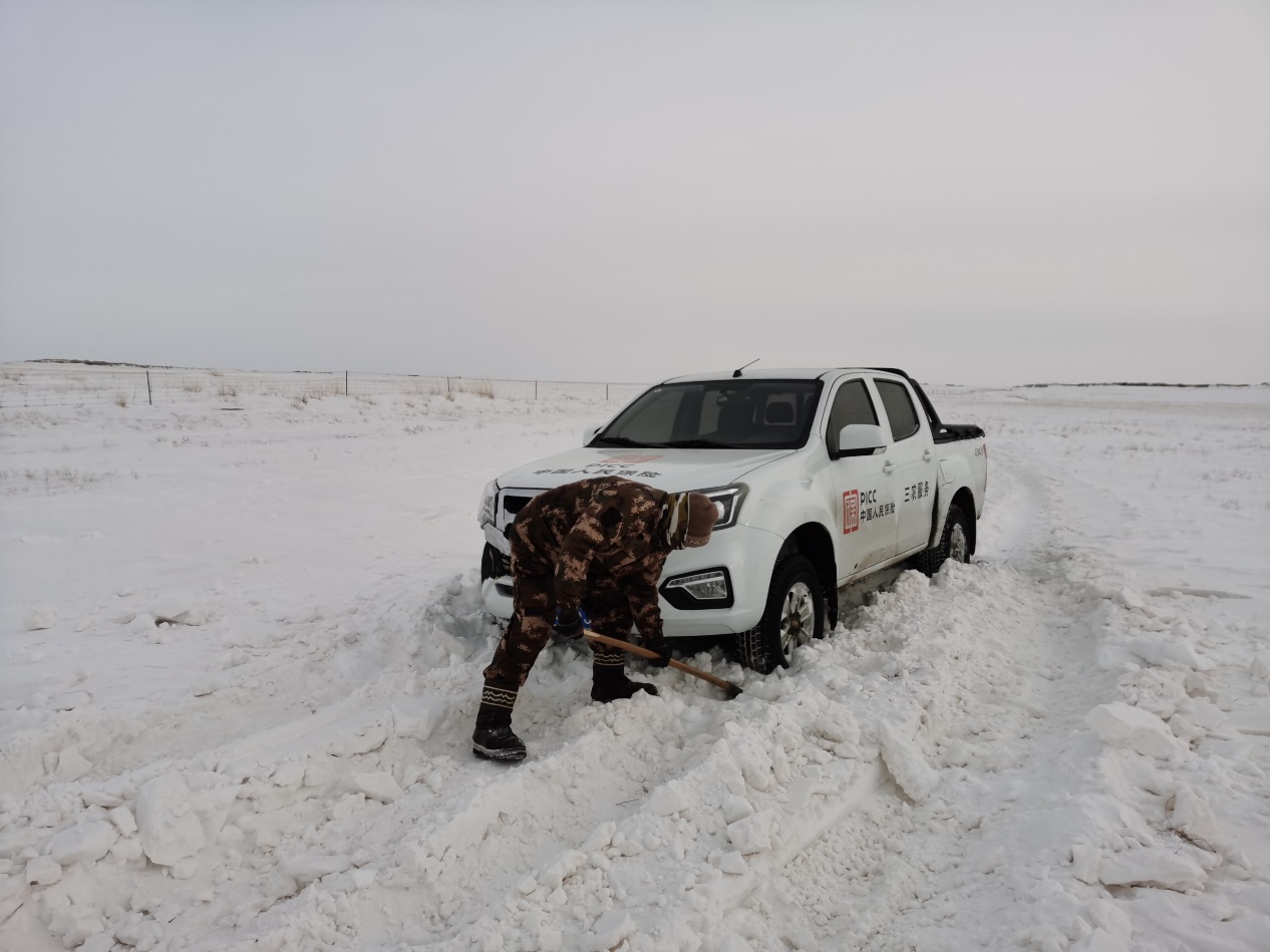 暴雪查勘图片1.jpg