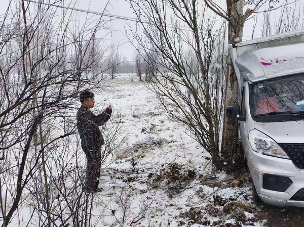 暴雪中的守护！