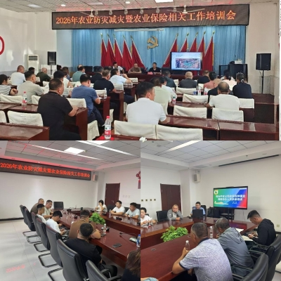 中国人寿财险包头市中心支公司联合农牧局开展2026农险防灾减灾暨农业保险相关工作培训