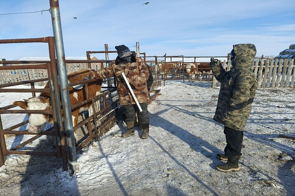 1771071137311673.png 图片7.png