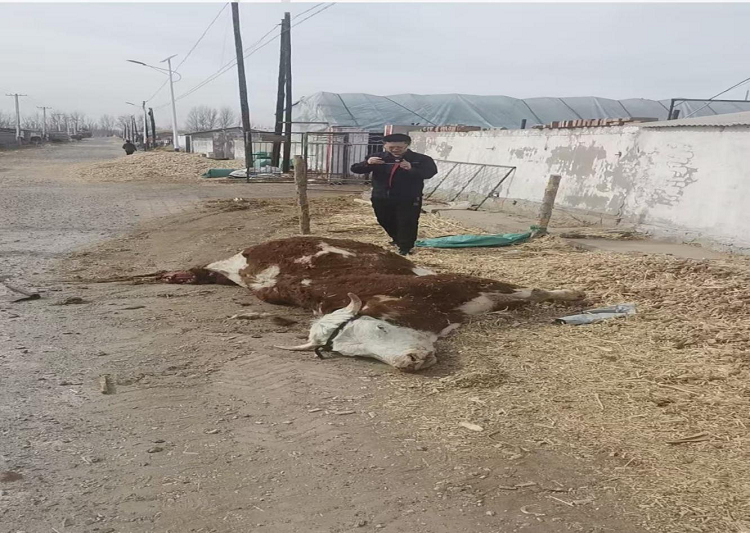 1771981083506713.png 图片9.png