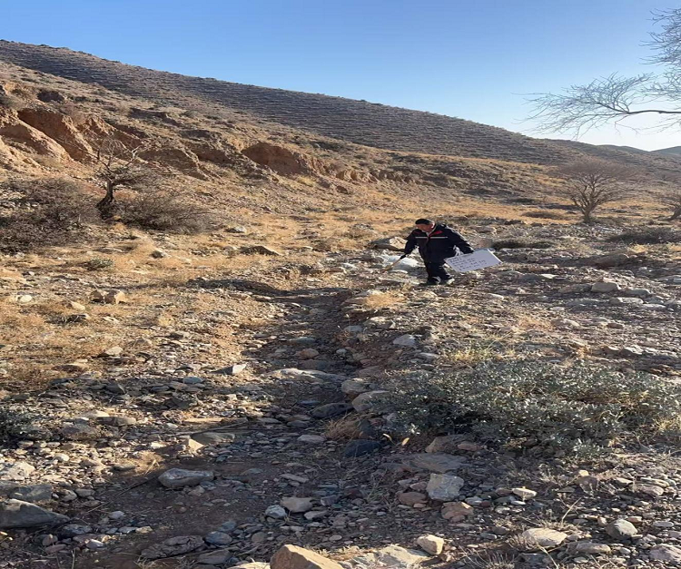 1771981718632013.png 图片18.png