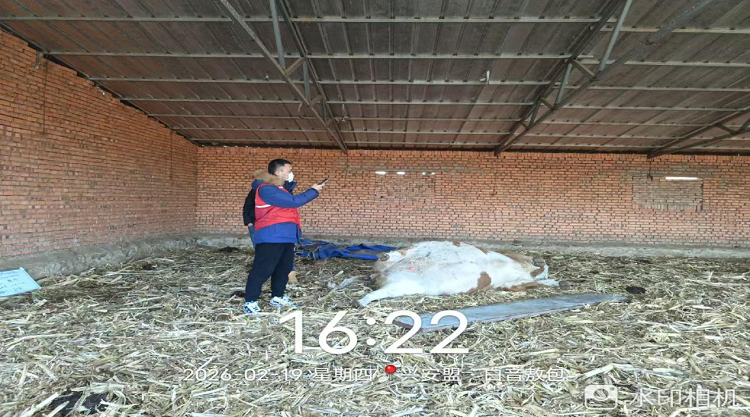 1771981747467715.png 图片19.png